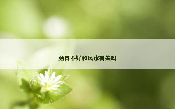 肠胃不好和风水有关吗