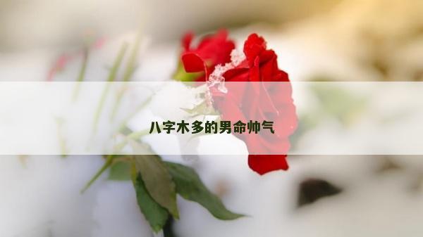 八字木多的男命帅气
