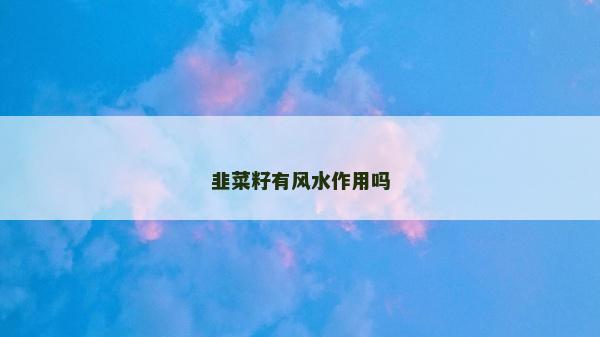 韭菜籽有风水作用吗