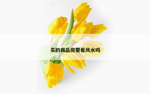 买的商品房要看风水吗