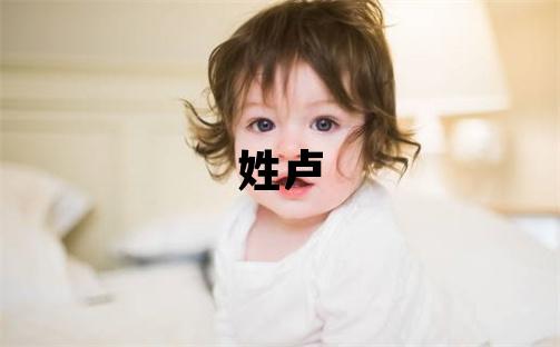 姓卢叫什么名字好 姓卢的男孩冷门独特的名字