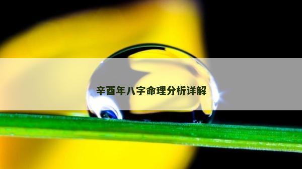 辛酉年八字命理分析详解