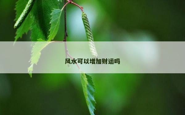 风水可以增加财运吗