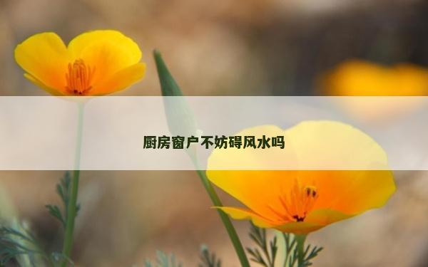 厨房窗户不妨碍风水吗