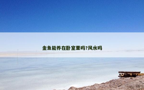 金鱼能养在卧室里吗?风水吗