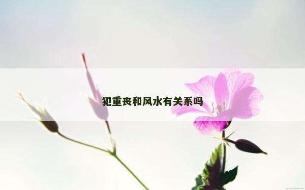 犯重丧和风水有关系吗