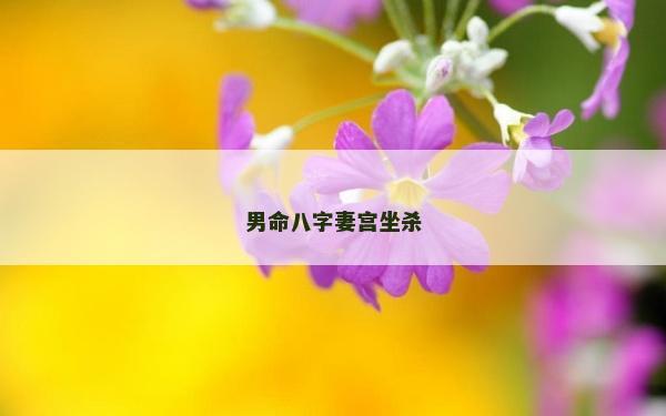 男命八字妻宫坐杀