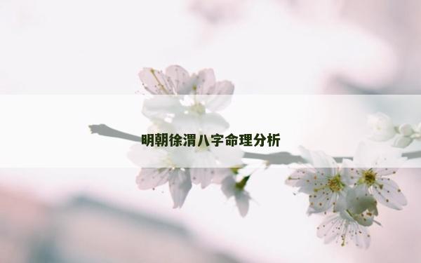 明朝徐渭八字命理分析