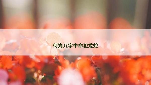 何为八字中命犯龙蛇