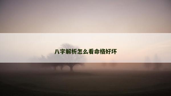 八字解析怎么看命格好坏
