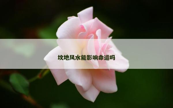 坟地风水能影响命运吗