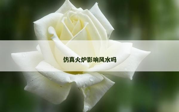 仿真火炉影响风水吗