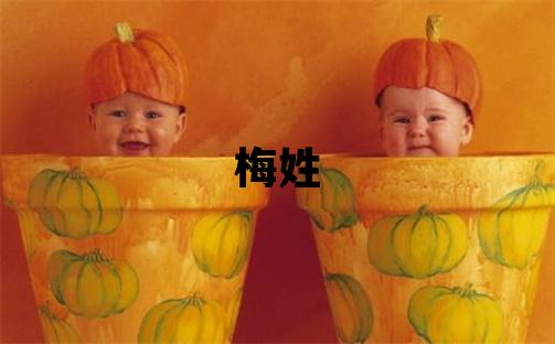 梅姓有含义的男孩名字,取什么名字好