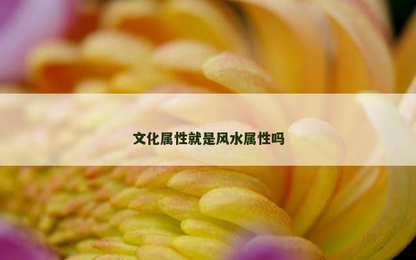 文化属性就是风水属性吗