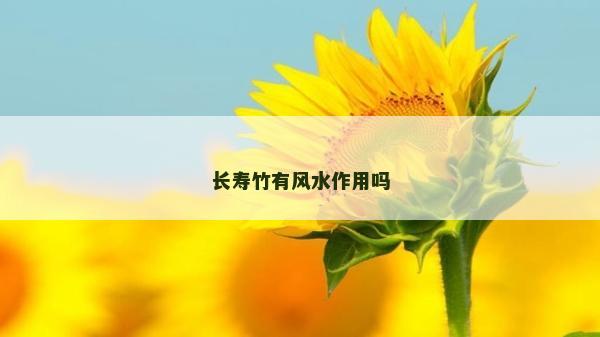长寿竹有风水作用吗