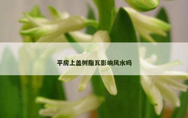 平房上盖树脂瓦影响风水吗
