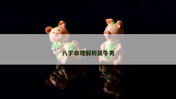 八字命理解析属牛男
