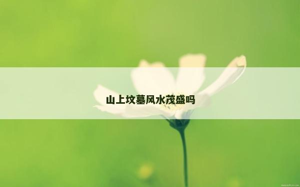 山上坟墓风水茂盛吗