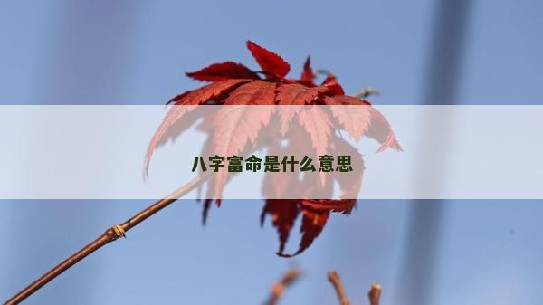 八字富命是什么意思
