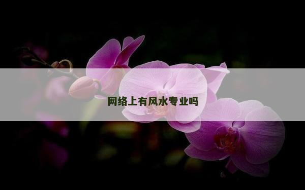 网络上有风水专业吗