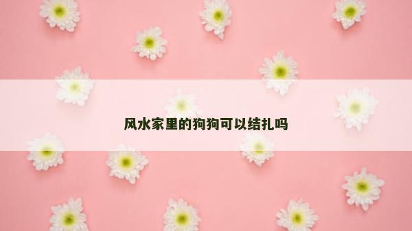 风水家里的狗狗可以结扎吗