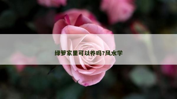绿箩家里可以养吗?风水学
