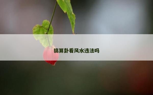 搞算卦看风水违法吗