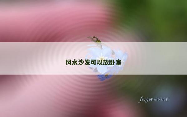 风水沙发可以放卧室