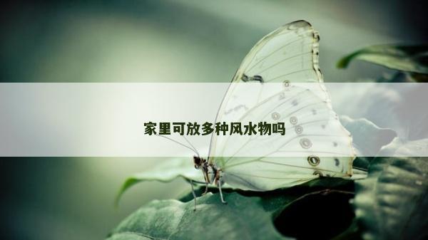 家里可放多种风水物吗