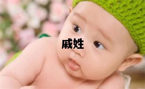 戚姓取名大气文雅的男宝宝名字