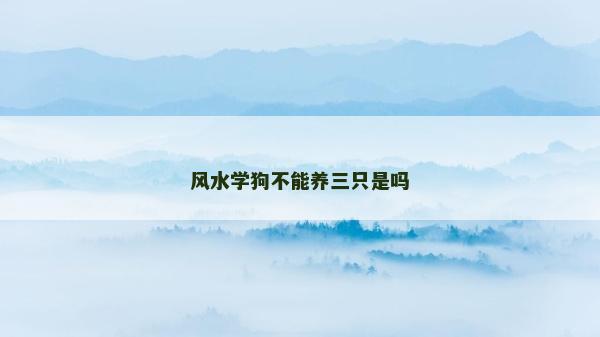 风水学狗不能养三只是吗