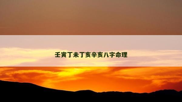 壬寅丁未丁亥辛亥八字命理