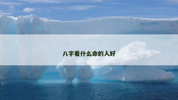 八字看什么命的人好