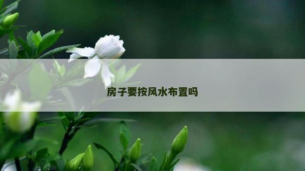 房子要按风水布置吗