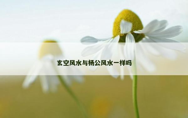 玄空风水与杨公风水一样吗