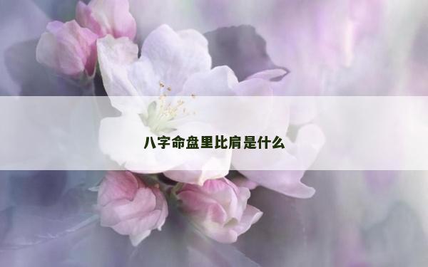 八字命盘里比肩是什么