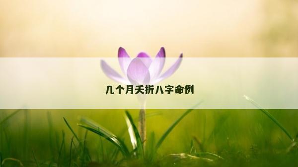 几个月夭折八字命例