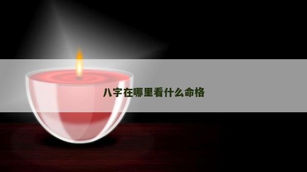 八字在哪里看什么命格