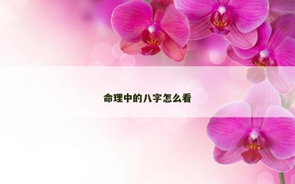 命理中的八字怎么看