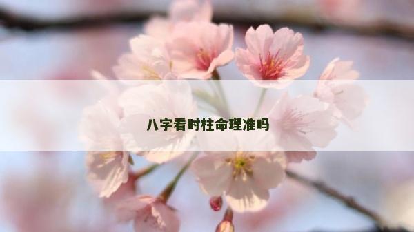 八字看时柱命理准吗