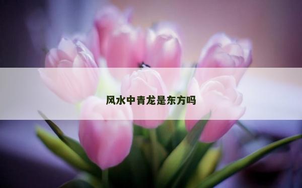 风水中青龙是东方吗