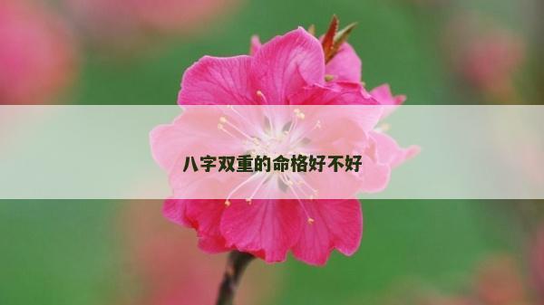 八字双重的命格好不好