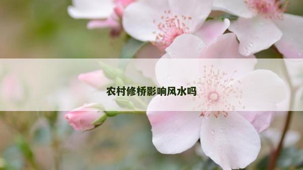 农村修桥影响风水吗