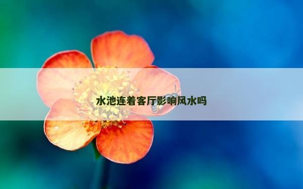水池连着客厅影响风水吗