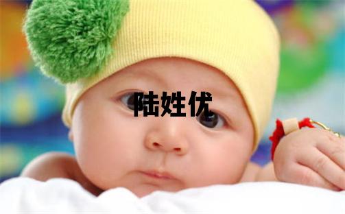 陆姓优美的男宝宝名字