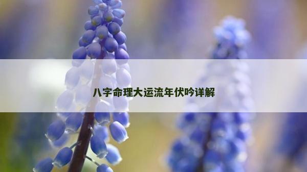 八字命理大运流年伏吟详解