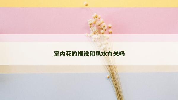 室内花的摆设和风水有关吗