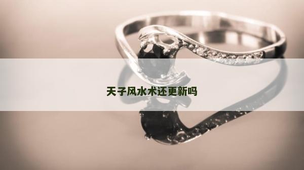 天子风水术还更新吗