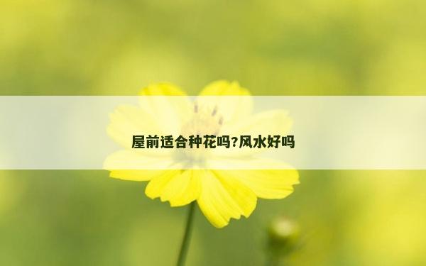 屋前适合种花吗?风水好吗