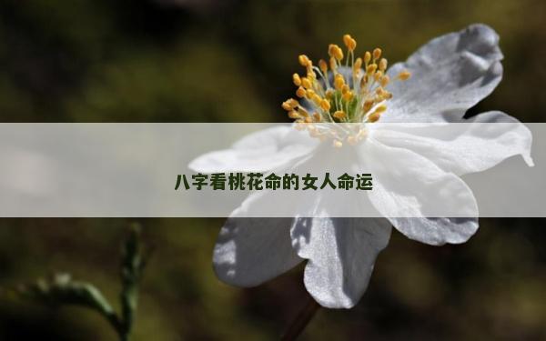 八字看桃花命的女人命运